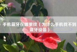 手机蓝牙在哪里找（为什么手机找不到蓝牙设备）