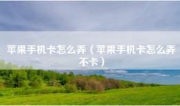苹果手机卡怎么弄（苹果手机卡怎么弄不卡）