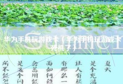 华为手机玩游戏卡（华为手机玩游戏卡死机了）