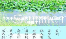 华为手机玩游戏卡（华为手机玩游戏卡死机了）