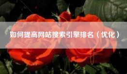 如何提高网站搜索引擎排名（优化）