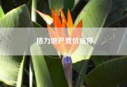 格力地产竞价涨停