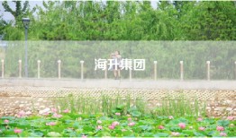 海升集团