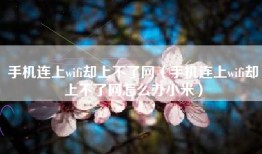 手机连上wifi却上不了网（手机连上wifi却上不了网怎么办小米）