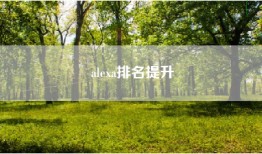 alexa排名提升