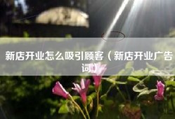 新店开业怎么吸引顾客（新店开业广告词）
