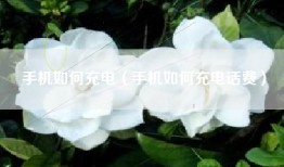 手机如何充电（手机如何充电话费）