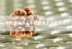 手机进海水（手机进海水还有救吗）