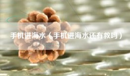 手机进海水（手机进海水还有救吗）