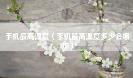 手机最高温度（手机最高温度多少会爆炸）