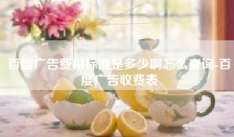 百度广告费用标准是多少啊怎么查询-百度广告收费表