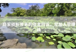商家锁粉带来的资金回流，早加入早赚钱