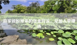 商家锁粉带来的资金回流，早加入早赚钱