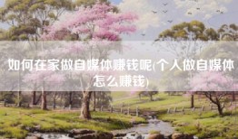 如何在家做自媒体赚钱呢(个人做自媒体怎么赚钱)