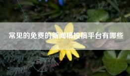 常见的免费的新闻稿投稿平台有哪些