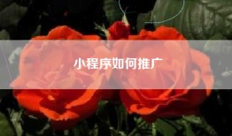 小程序如何推广