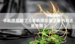 手机摔花屏了（手机摔花屏了是内屏还是外屏）