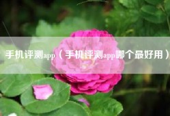 手机评测app（手机评测app哪个最好用）