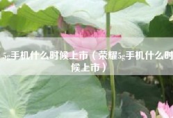 5g手机什么时候上市（荣耀5g手机什么时候上市）