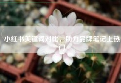 小红书关键词对比，助力品牌笔记上热门