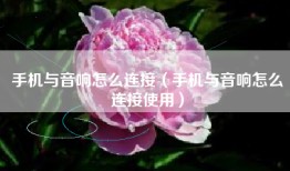 手机与音响怎么连接（手机与音响怎么连接使用）