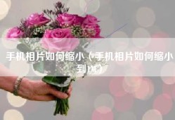 手机相片如何缩小（手机相片如何缩小到1M）