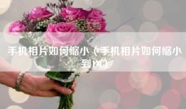 手机相片如何缩小（手机相片如何缩小到1M）