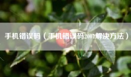 手机错误码（手机错误码2001解决方法）