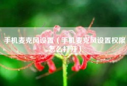 手机麦克风设置（手机麦克风设置权限怎么打开）