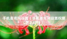 手机麦克风设置（手机麦克风设置权限怎么打开）