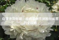自媒体如何做：从内容创作到粉丝运营的全攻略
