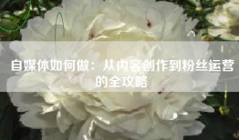 自媒体如何做：从内容创作到粉丝运营的全攻略