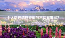 个人房产信息查询的方法有哪些？
