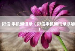 微信 手机通讯录（微信手机通讯录添加）