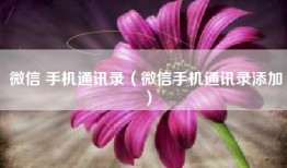 微信 手机通讯录（微信手机通讯录添加）