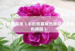手机屏幕亮（手机屏幕亮伤眼睛还是暗伤眼睛）