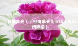 手机屏幕亮（手机屏幕亮伤眼睛还是暗伤眼睛）