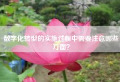 数字化转型的实施过程中需要注意哪些方面？