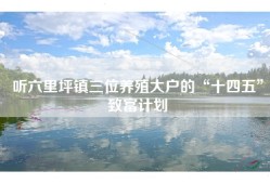 听六里坪镇三位养殖大户的“十四五”致富计划