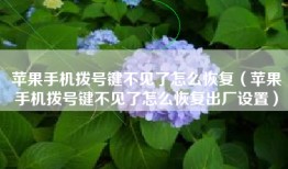 苹果手机拨号键不见了怎么恢复（苹果手机拨号键不见了怎么恢复出厂设置）