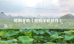 抢购手机（抢购手机软件）