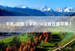 手机u设置（手机USB设置在哪苹果）