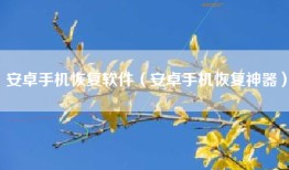 安卓手机恢复软件（安卓手机恢复神器）