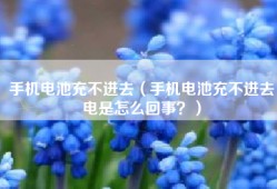 手机电池充不进去（手机电池充不进去电是怎么回事？）