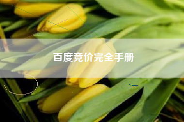 百度竞价完全手册