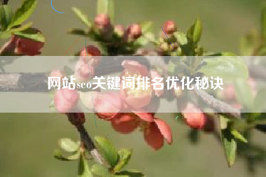 网站seo关键词排名优化秘诀