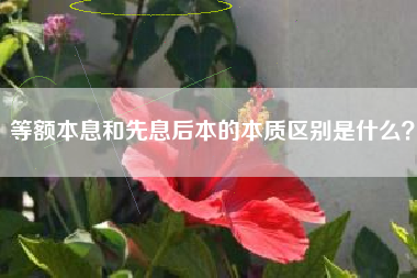 等额本息和先息后本的本质区别是什么?