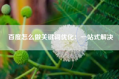 百度怎么做关键词优化:一站式解决