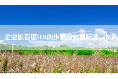 企业做百度SEM的步骤及扣费标准.pdfVIP