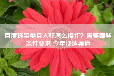 百度珠宝类目入驻怎么操作?需要哪些条件要求 今年快速渠道